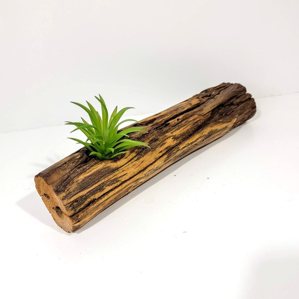 Natural Driftwood Log Air Plant Holder Rustic Wood Succulent Planter Decor